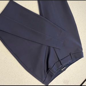 Express Navy Skinny High Rise 10R